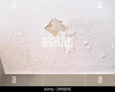 Panneaux de plafond endommagés par l'humidité dans le toit due à une fuite d'eau de pluie. Banque D'Images