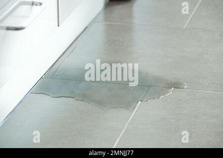 Photo en gros plan de plancher inondé dans la cuisine de fuite d eau Banque D'Images