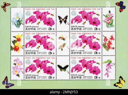 Timbre-poste nord-coréen représentant des orchidées et des papillons Kimilsungia, commémorant la naissance de Kim il Sung, Juche 95 (2006). Banque D'Images