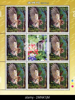 Feuille de timbres-poste nord-coréens représentant des hiboux (Strix aluco) et un papillon, émise en 2006 (Juche 95). Banque D'Images