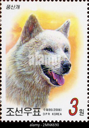 Timbre-poste nord-coréen de 2006 (Juche 95) représentant un chien Pungsan, le chien national de la RPDC, d'une valeur de 3 won. Banque D'Images