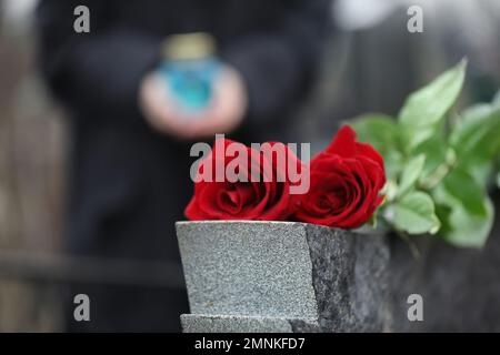 Roses rouges sur pierre tombale en granit gris à l'extérieur. Cérémonie funéraire Banque D'Images