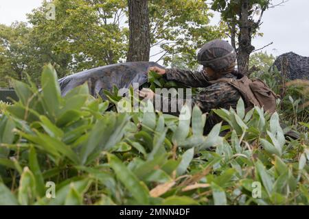 Caporal de lance du corps des Marines des États-Unis Katherin Lemus-Blanco, un opérateur de transport automobile du 3D Bataillon, 12th Marines construit un site de cachette pendant l'exercice Resolute Dragon 22 dans la zone de manœuvre de Yusubetsu, Hokkaido, Japon, 4 octobre 2022. Resolute Dragon 22 est un exercice bilatéral annuel conçu pour renforcer les capacités défensives de l'Alliance États-Unis-Japon en exerçant un commandement et un contrôle intégrés, le ciblage, les armes combinées et la manœuvre sur plusieurs domaines. Lemus-Blanco est originaire de Las Vegas, Nevada. Banque D'Images