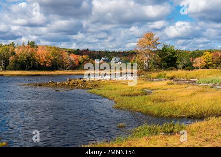 Couleur du feuillage d'automne dans le comté de sable, Nouvelle-Écosse, Canada. Banque D'Images