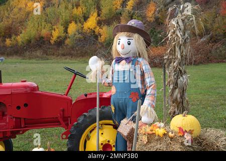 Un écran d'automne avec arnaque et tracteur rouge dans la vallée de Wentworth, en Nouvelle-Écosse, au Canada. Banque D'Images