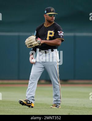 Toronto Blue Jays Austin Martin (80) during warmups before a Major League  Spring Training game against the Pittsburgh Pirates on March 1, 2021 at the  TD Ballpark in Dunedin, Florida. (Mike Janes/Four Seam Images via AP Stock  Photo - Alamy