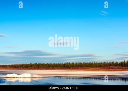 Les restes de la dernière glace de printemps sur la rivière Vilyui à Yakutia flottent dans l'eau sur le fond de la forêt pendant la journée. Dérive de glace. Banque D'Images