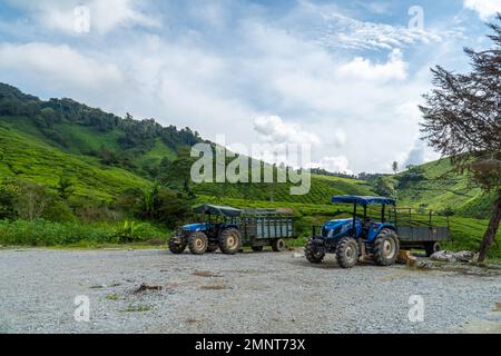 Tracteur et chariot garés sur un sol en gravier avec un magnifique arrière-plan de plantation de thé. Jardin de thé paysage de montagne à Cameron Highlands, Malaisie. Banque D'Images
