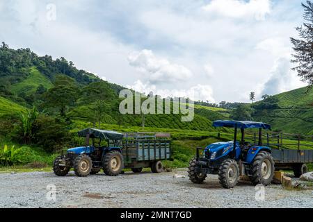 Tracteur et chariot garés sur un sol en gravier avec un magnifique arrière-plan de plantation de thé. Jardin de thé paysage de montagne à Cameron Highlands, Malaisie. Banque D'Images