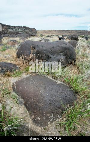 Le « gravier » de melon déposé dans le canyon de la rivière Snake s'est adouci alors qu'ils se sont effondrés sur la rivière pendant le déluge catastrophique de Bonneville il y a environ 17 400 ans Banque D'Images