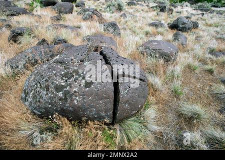 Le « gravier » de melon déposé dans le canyon de la rivière Snake s'est adouci alors qu'ils se sont effondrés sur la rivière pendant le déluge catastrophique de Bonneville il y a environ 17 400 ans Banque D'Images