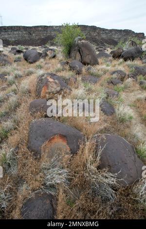 Le « gravier » de melon déposé dans le canyon de la rivière Snake s'est adouci alors qu'ils se sont effondrés sur la rivière pendant le déluge catastrophique de Bonneville il y a environ 17 400 ans Banque D'Images