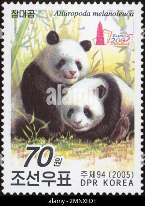 Timbre-poste nord-coréen de 2005 représentant 2 pandas géants (Ailuropoda melanoleuca) pour l'exposition Taipei 2005. Banque D'Images