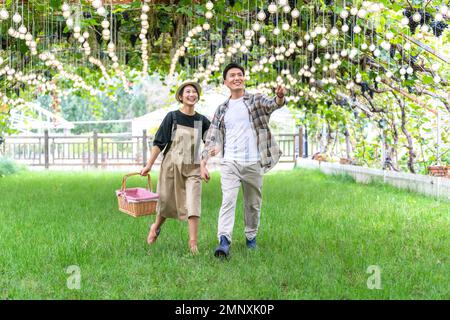 Un jeune couple dans le verger cueillant des raisins Banque D'Images