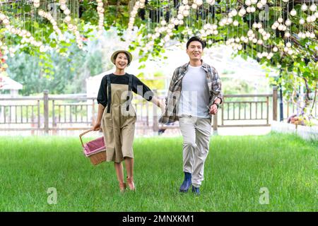 Un jeune couple dans le verger cueillant des raisins Banque D'Images