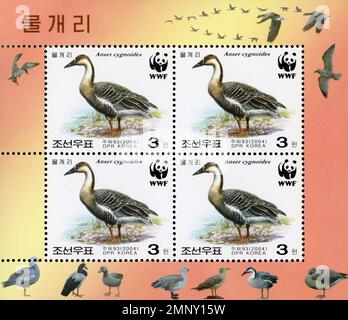 Timbre-poste nord-coréen représentant l'oie cygnes (Anser cygnoides) avec logo WWF, émis en 2004. Banque D'Images
