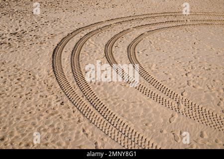 roues suit les pneus de roues sur le sable fin de la plage du désert sur une dune de poussière Banque D'Images