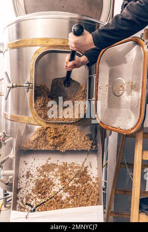 L'écrasement de graines de malt broyé pour la préparation du malt. Processus de grain d'orge de brasserie. Banque D'Images