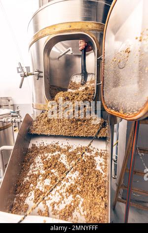 L'écrasement de graines de malt broyé pour la préparation du malt. Processus de grain d'orge de brasserie. Banque D'Images
