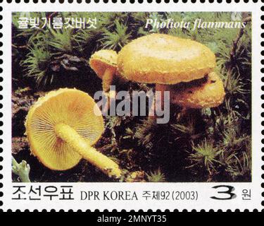 Timbre-poste nord-coréen de 2003 représentant le champignon jaune vif Pholiota flammans, faisant partie d'une série botanique de la République populaire démocratique de Corée. Banque D'Images