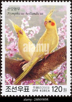 Timbre-poste nord-coréen de 2003 représentant 2 cockatiels lutino (Nymphicus hollandicus) sur une branche à fleurs roses. Banque D'Images