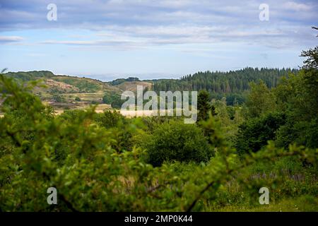 Beauté de la nature. La beauté de la nature - Parc National de Rebild, Jutland, Danemark,. Banque D'Images