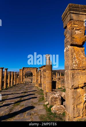 Cardo dans les ruines romaines de Djemila, Afrique du Nord, Djemila, Algérie Banque D'Images