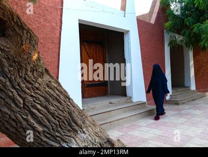 Femme voilée marchant dans la rue, Afrique du Nord, Tamanrasset, Algérie Banque D'Images