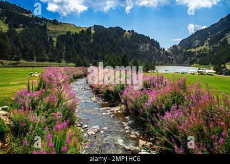 Petite rivière et fleurs dans le bâtiment de l'hôtel Vall de Nuria Sanctuary, dans les Pyrénées catalanes, en Espagne. Célèbres loisirs et Voyage destinati Banque D'Images