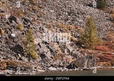 Rive en pierre avec des sapins du lac alpin Shavlinskoe en Altaï. Banque D'Images