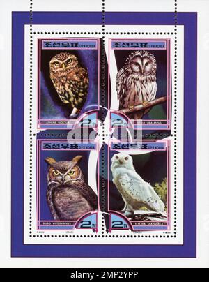 Bloc-feuillet de timbre-poste nord-coréen représentant quatre espèces de chouettes : petite chouette, chouette de l'Oural, chouette à cornes et chouette des neiges, émis en 2000. Banque D'Images