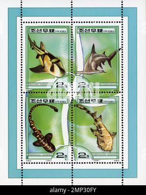 Feuille de quatre timbres-poste nord-coréens datant de 2000 représentant diverses espèces de requins, dont les requins marteau et wobbegong. Banque D'Images