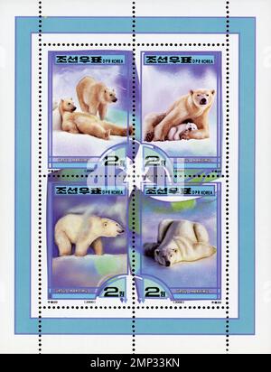 Feuille de 4 timbres-poste nord-coréens représentant des ours polaires (Ursus maritimus), émise en 2000, RDP Corée. Banque D'Images