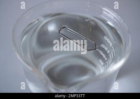 Tension de surface de l'eau. Le trombone flotte sur l'eau dans le laboratoire Banque D'Images