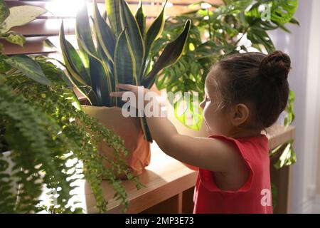 Petite fille jouant avec la maison à la maison Banque D'Images