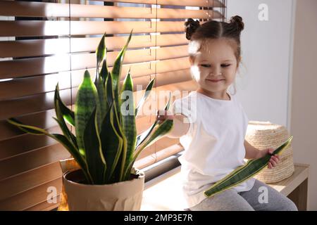 Petite fille curieuse briser la maison à la maison Banque D'Images