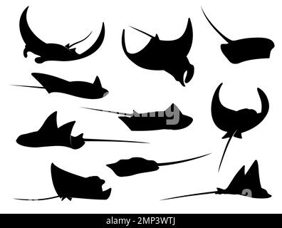 Silhouette de poisson en raies, en raies ou en camp de Manta. Animaux vectoriels d'eau de mer et d'océan nageant avec des ailerons et des queues ondulés. Skate de plongée, Stingray ou aigle ray symboles isolés de poissons, faune sous-marine Illustration de Vecteur