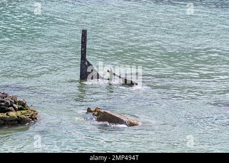 Bettys Bay, Afrique du Sud - 20 septembre 2022 : une partie de l'épave de l'una est visible dans la réserve naturelle de Stony point, dans la baie de Bettys. Banque D'Images