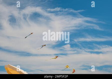 Cerfs-volants colorés volant dans le ciel bleu sur la plage Banque D'Images