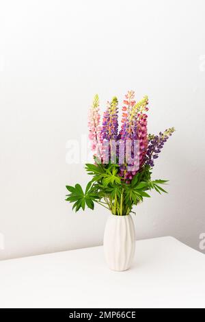 Lupinus dans un vase blanc contre un mur blanc, partie d'un intérieur de maison, décoration de maison avec des fleurs lupin, confortable fond d'été Banque D'Images