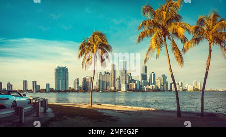 l'horizon de miami avec des palmiers, floride Banque D'Images