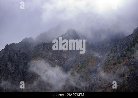 Le brouillard avec la neige et les nuages se déplace vers les montagnes en pierre avec des épinettes et la forêt sur les falaises abruptes après la pluie pendant la journée à Altai. Banque D'Images