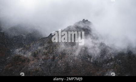 Le brouillard avec la neige et les nuages se déplace sur les montagnes en pierre avec des épinettes et des forêts sur des roches abruptes de l'Altai en été. Banque D'Images