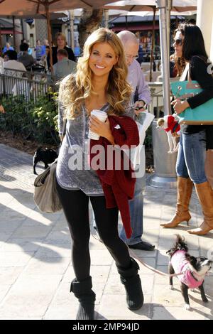 La mannequin et actrice Amber Lancaster propose un café tout en faisant du shopping avec son petit chien au Grove de Los Angeles, en Californie. 8th novembre 2011. Banque D'Images