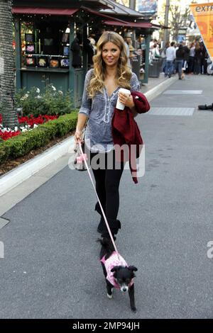 La mannequin et actrice Amber Lancaster propose un café tout en faisant du shopping avec son petit chien au Grove de Los Angeles, en Californie. 8th novembre 2011. . Banque D'Images