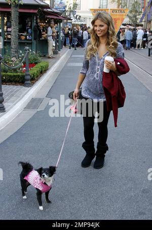 La mannequin et actrice Amber Lancaster propose un café tout en faisant du shopping avec son petit chien au Grove de Los Angeles, en Californie. 8th novembre 2011. . Banque D'Images