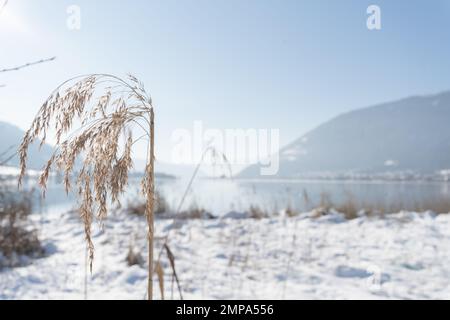 Paysage de carinthie enneigé au lac d'ossiach jour d'hiver ensoleillé Banque D'Images