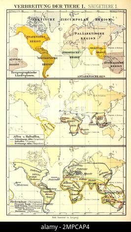 Verbreitung der Tiere nach Brehms Tierleben im 19. Jahrhundt, Historisch, digital restaurierte Reproduktion von einer Vorlage aus dem 18. Jahrhundert, Banque D'Images