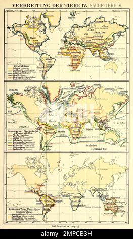 Verbreitung der Tiere nach Brehms Tierleben im 19. Jahrhundt, Historisch, digital restaurierte Reproduktion von einer Vorlage aus dem 18. Jahrhundert, Banque D'Images