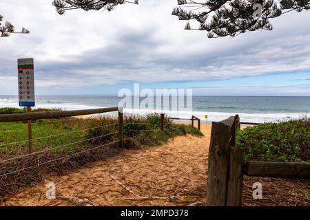 Entrée sur un sentier sablonneux à Newport Beach, l'une des plages du nord de Sydney le jour de l'été 2023, clôtures en bois de bois autour de la végétation, Australie Banque D'Images